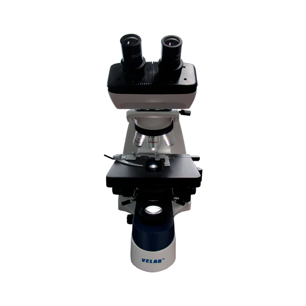 Microscopio binocular básico. VE-B3 - Imagen 4